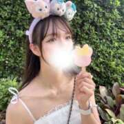 ヒメ日記 2025/08/29 08:18 投稿 みれい チューリップ福井本館