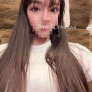 ヒメ日記 2024/12/18 10:14 投稿 みれい チューリップ福井別館