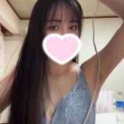 ヒメ日記 2025/04/23 22:44 投稿 みれい チューリップ福井別館