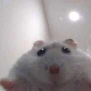 ヒメ日記 2025/01/22 06:01 投稿 まい 川崎ソープ　クリスタル京都南町