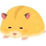 ヒメ日記 2025/03/07 22:56 投稿 まい 川崎ソープ　クリスタル京都南町