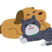 ヒメ日記 2025/04/13 13:51 投稿 まい 川崎ソープ　クリスタル京都南町