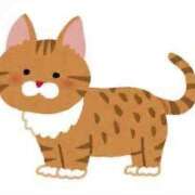 ヒメ日記 2025/04/13 19:26 投稿 まい 川崎ソープ　クリスタル京都南町