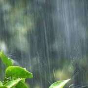 ヒメ日記 2025/05/28 04:06 投稿 まい 川崎ソープ　クリスタル京都南町