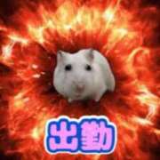 ヒメ日記 2025/09/02 17:27 投稿 まい 川崎ソープ　クリスタル京都南町