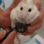 ヒメ日記 2025/09/11 07:34 投稿 まい 川崎ソープ　クリスタル京都南町