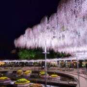 ヒメ日記 2025/05/10 14:02 投稿 すずね sakura