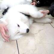 ヒメ日記 2025/05/28 19:03 投稿 すずね sakura