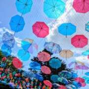 ヒメ日記 2025/06/16 12:52 投稿 すずね sakura