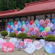 ヒメ日記 2025/07/02 11:51 投稿 すずね sakura