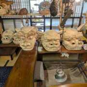 ヒメ日記 2025/07/06 15:22 投稿 すずね sakura