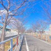 ヒメ日記 2025/02/20 08:30 投稿 五条　さとる Eternity～若妻の悪戯～（エタニティー）