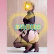 ヒメ日記 2025/02/21 08:01 投稿 五条　さとる Eternity～若妻の悪戯～（エタニティー）