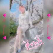 ヒメ日記 2025/04/07 14:00 投稿 富永りお 五十路マダム金沢店