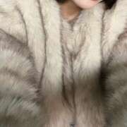 ヒメ日記 2025/02/20 16:44 投稿 わかば いざ候 別館