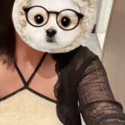 ヒメ日記 2025/08/13 09:34 投稿 わかば いざ候 別館