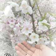 ヒメ日記 2025/04/05 18:56 投稿 吉川　みなみ 回春マッサージメンズエステ宇都宮