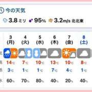 ヒメ日記 2025/03/03 16:02 投稿 三浦さな(みうらさな) 東京ヒストリー　秘密の約束