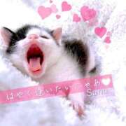 ヒメ日記 2025/04/20 19:22 投稿 三浦さな(みうらさな) 東京ヒストリー　秘密の約束