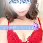 ヒメ日記 2025/04/25 16:52 投稿 三浦さな(みうらさな) 東京ヒストリー　秘密の約束