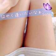 ヒメ日記 2025/05/01 14:52 投稿 三浦さな(みうらさな) 東京ヒストリー　秘密の約束