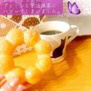 ヒメ日記 2025/05/19 21:22 投稿 三浦さな(みうらさな) 東京ヒストリー　秘密の約束