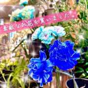 ヒメ日記 2025/07/09 22:32 投稿 三浦さな(みうらさな) 東京ヒストリー　秘密の約束