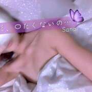 ヒメ日記 2025/07/17 01:32 投稿 三浦さな(みうらさな) 東京ヒストリー　秘密の約束