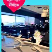 ヒメ日記 2026/02/24 22:02 投稿 三浦さな(みうらさな) 東京ヒストリー　秘密の約束