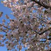 ヒメ日記 2026/04/18 09:08 投稿 佐藤りり 宇都宮回春性感クリニック