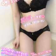 ヒメ日記 2025/03/23 05:24 投稿 あられ 奥様なでしこ