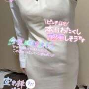 ヒメ日記 2025/04/27 01:30 投稿 あられ 奥様なでしこ