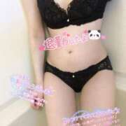 ヒメ日記 2025/05/01 04:22 投稿 あられ 奥様なでしこ