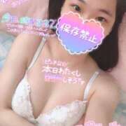 ヒメ日記 2025/05/25 21:13 投稿 あられ 奥様なでしこ