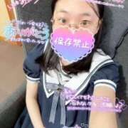 ヒメ日記 2025/06/23 06:00 投稿 あられ 奥様なでしこ