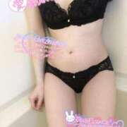 ヒメ日記 2025/09/08 06:15 投稿 あられ 奥様なでしこ