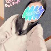 ヒメ日記 2025/12/29 00:46 投稿 あられ 奥様なでしこ