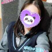 ヒメ日記 2026/03/08 05:51 投稿 あられ 奥様なでしこ