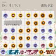 ヒメ日記 2026/05/31 21:45 投稿 あられ 奥様なでしこ