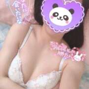 ヒメ日記 2026/06/13 20:25 投稿 あられ 奥様なでしこ