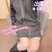 ヒメ日記 2026/08/13 14:11 投稿 あられ 奥様なでしこ