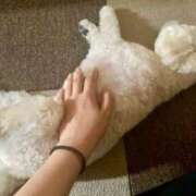 ヒメ日記 2025/02/25 22:59 投稿 須川かえで 全裸美女からのカゲキな誘惑