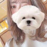 ヒメ日記 2024/12/11 07:10 投稿 ひい ごほうびSPA五反田店