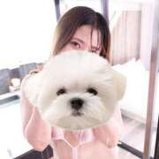 ヒメ日記 2024/12/14 12:00 投稿 ひい ごほうびSPA五反田店