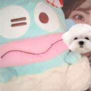 ヒメ日記 2024/12/14 20:29 投稿 ひい ごほうびSPA五反田店