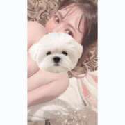 ヒメ日記 2024/12/15 00:09 投稿 ひい ごほうびSPA五反田店