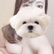 ヒメ日記 2024/12/24 12:50 投稿 ひい ごほうびSPA五反田店