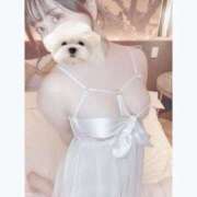 ヒメ日記 2025/01/01 02:40 投稿 ひい ごほうびSPA五反田店