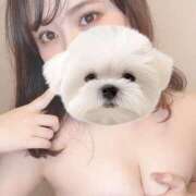 ヒメ日記 2025/01/02 00:50 投稿 ひい ごほうびSPA五反田店