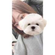 ヒメ日記 2025/01/11 14:02 投稿 ひい ごほうびSPA五反田店